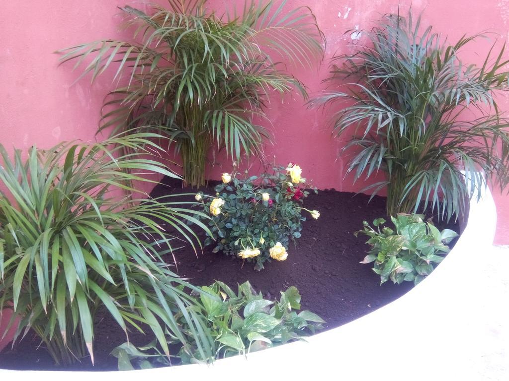 Casa Mazejuwi Hotel Campeche Exterior photo