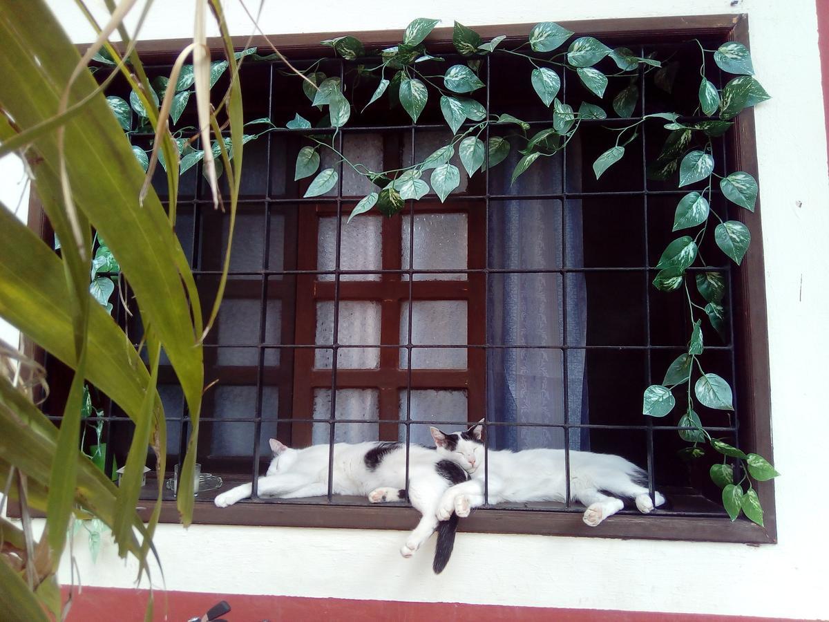 Casa Mazejuwi Hotel Campeche Exterior photo